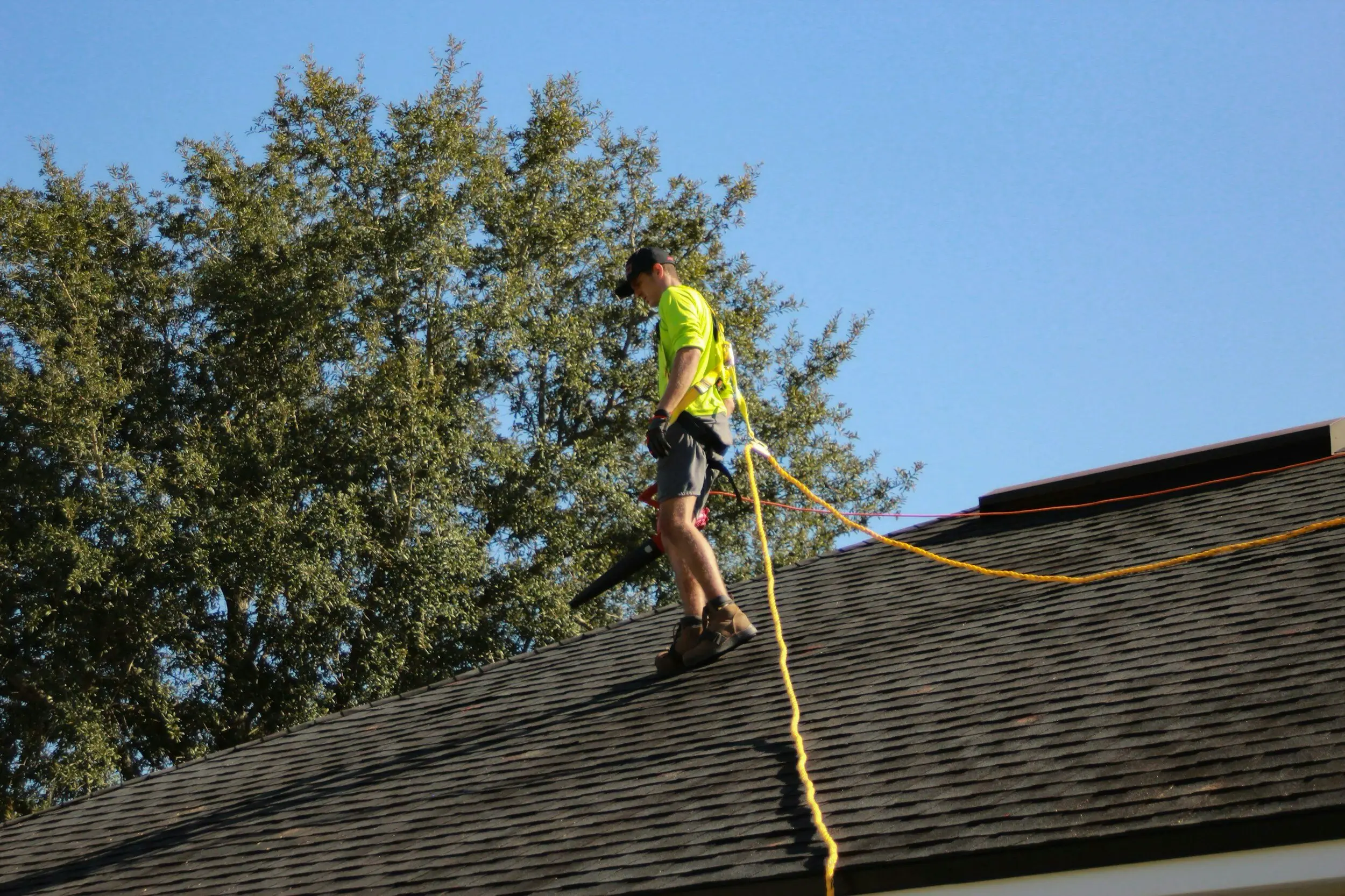 Roof Photo 1